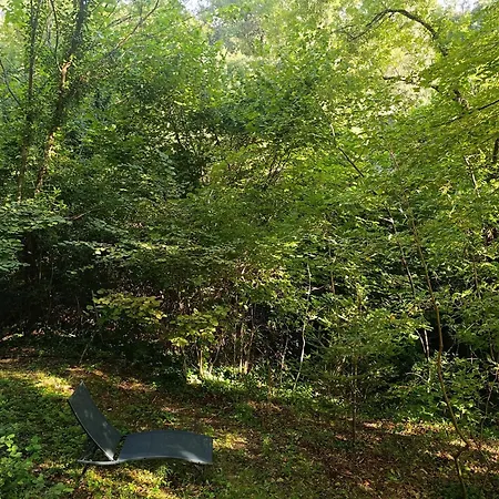 Maisonnette Dans La Foret Casa vacanze *