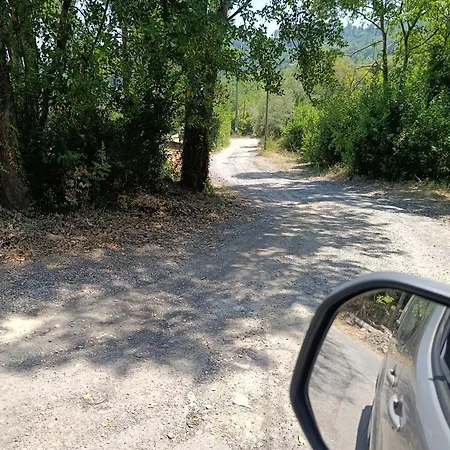 Maisonnette Dans La Foret אנדוזה