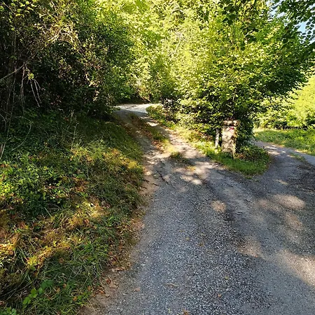 Maisonnette Dans La Foret בית נופש