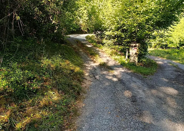 Cosy En Pleine Forêt Сasa de vacaciones